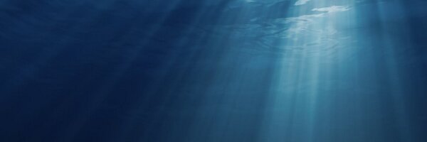 sharktracker Profile Banner