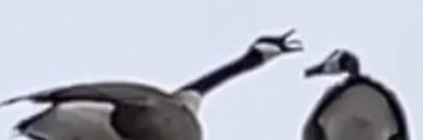 anniekwaugh's profile banner image