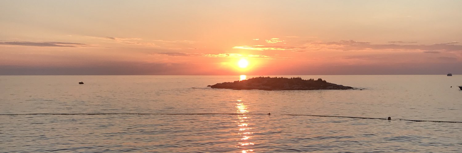 William Beddard banner