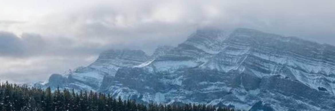 William J.. Neeson banner