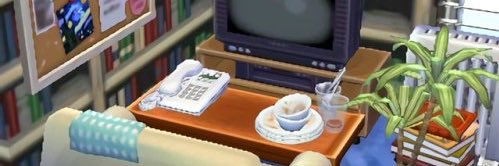 sonia banner