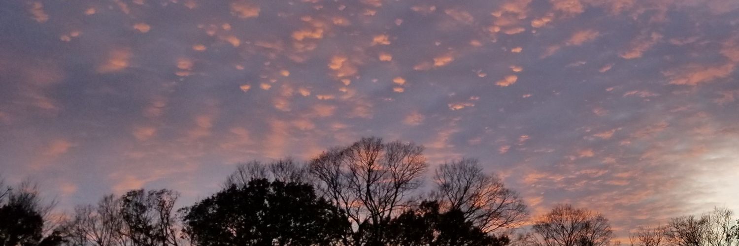 nlherman's profile banner image