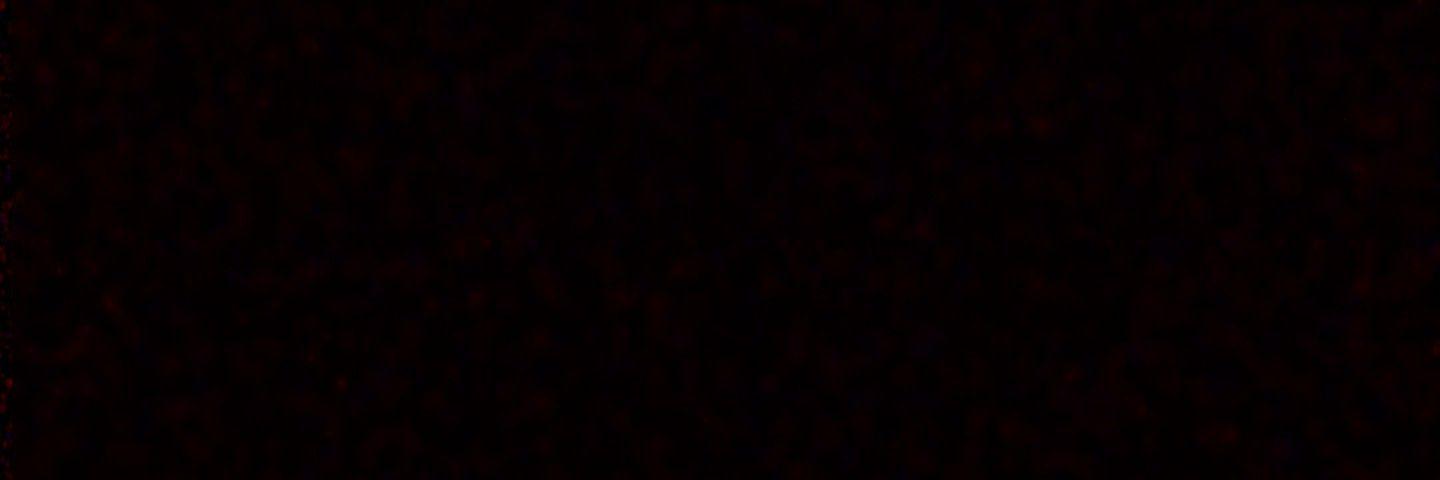 YonRisco's profile banner image