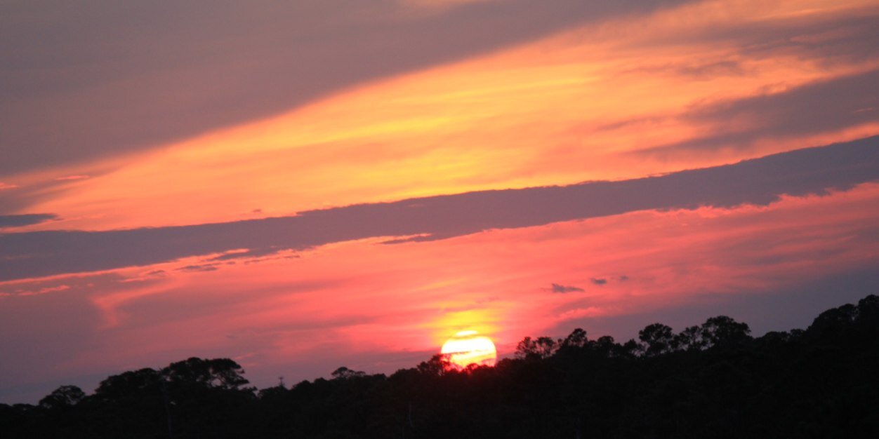 debbieg1695's profile banner image