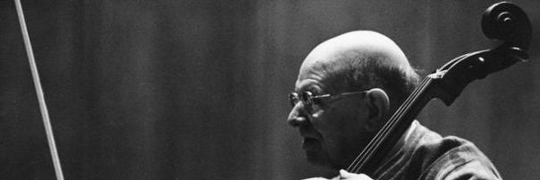 quicosala Profile Banner