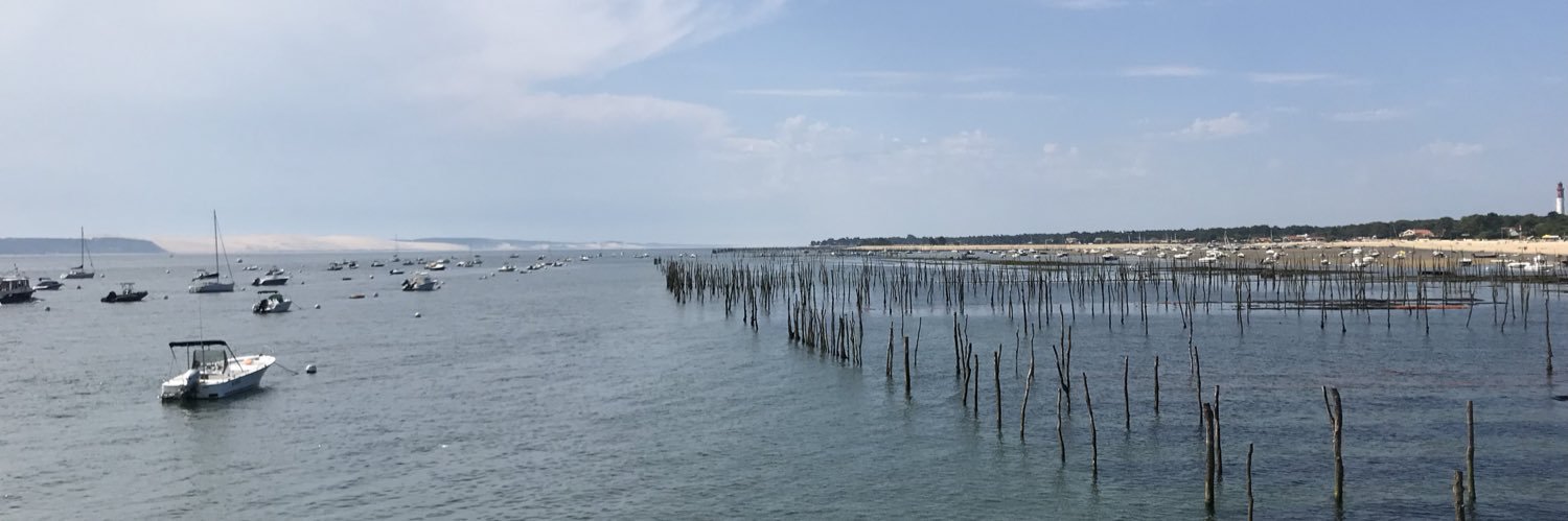 Romain Bordier banner