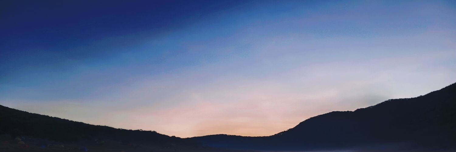 adzerine's profile banner image