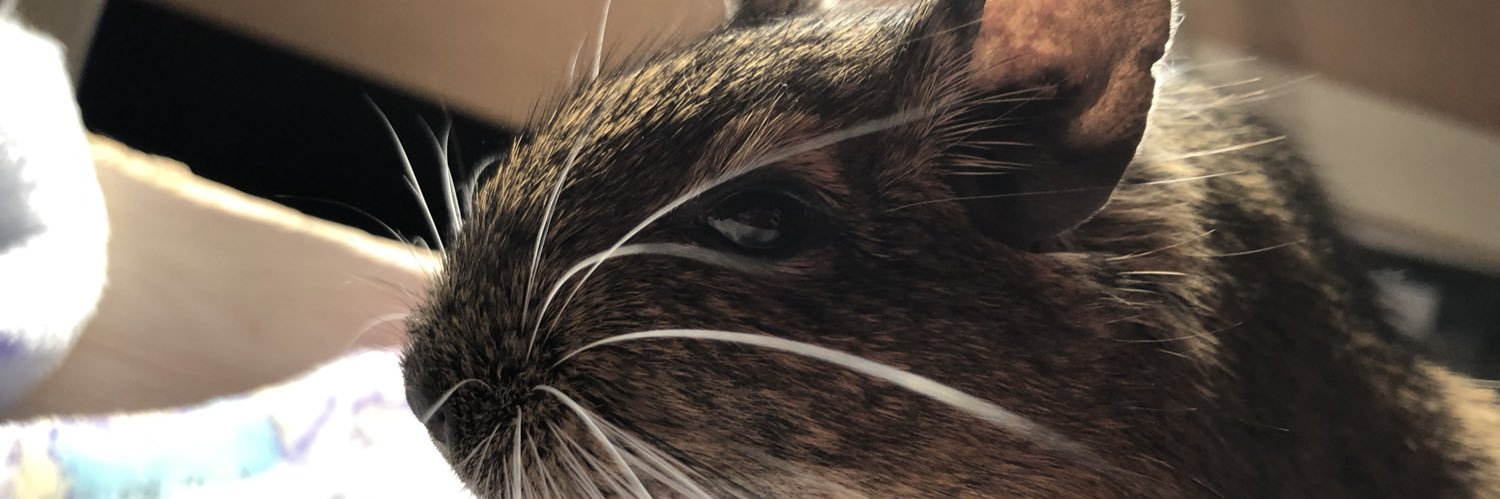 B1acky127's profile banner image
