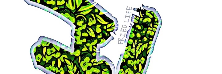 fried_life's profile banner image