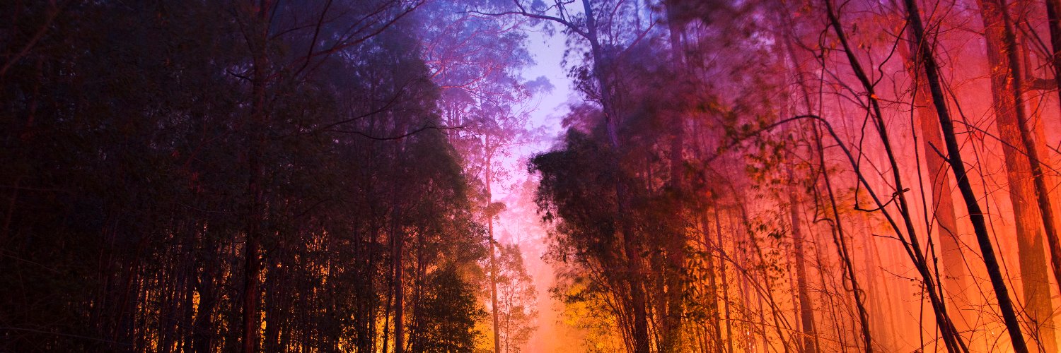Anna Lofi banner