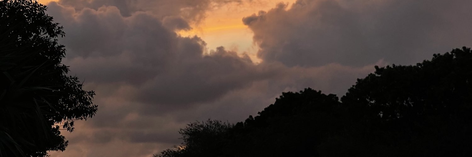 Hugo Stiglitz banner