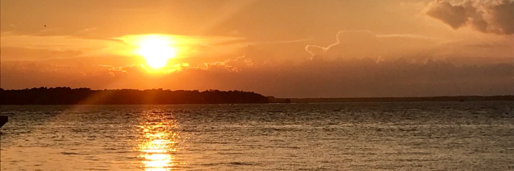 mallory731's profile banner image