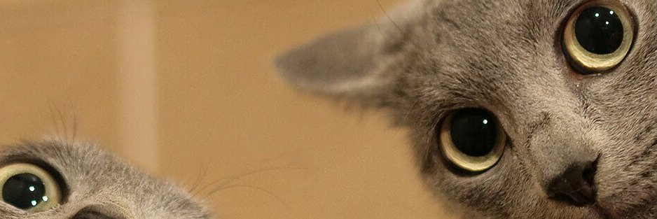 Igor_Hernandez's profile banner image