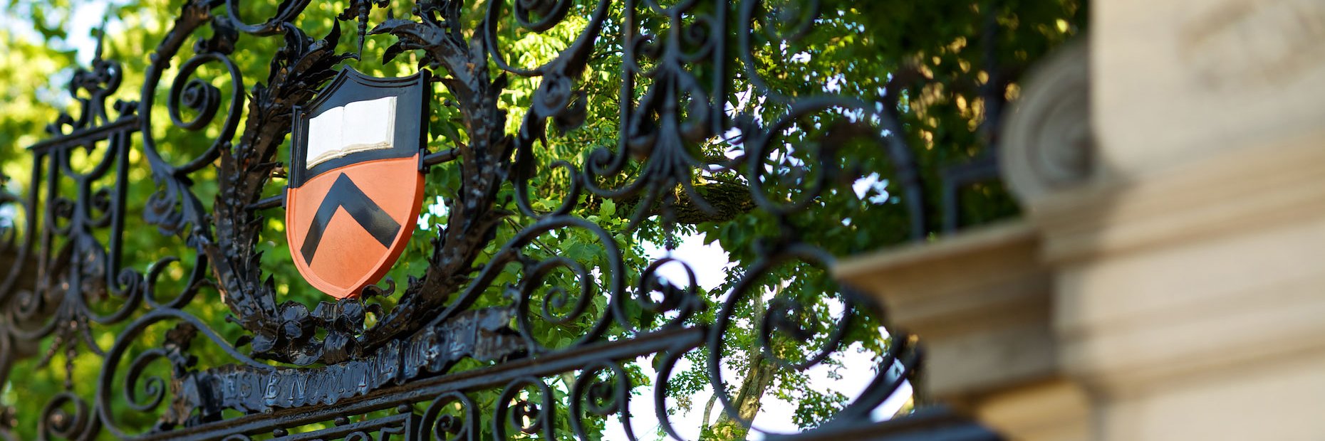 Jonathan Mummolo banner