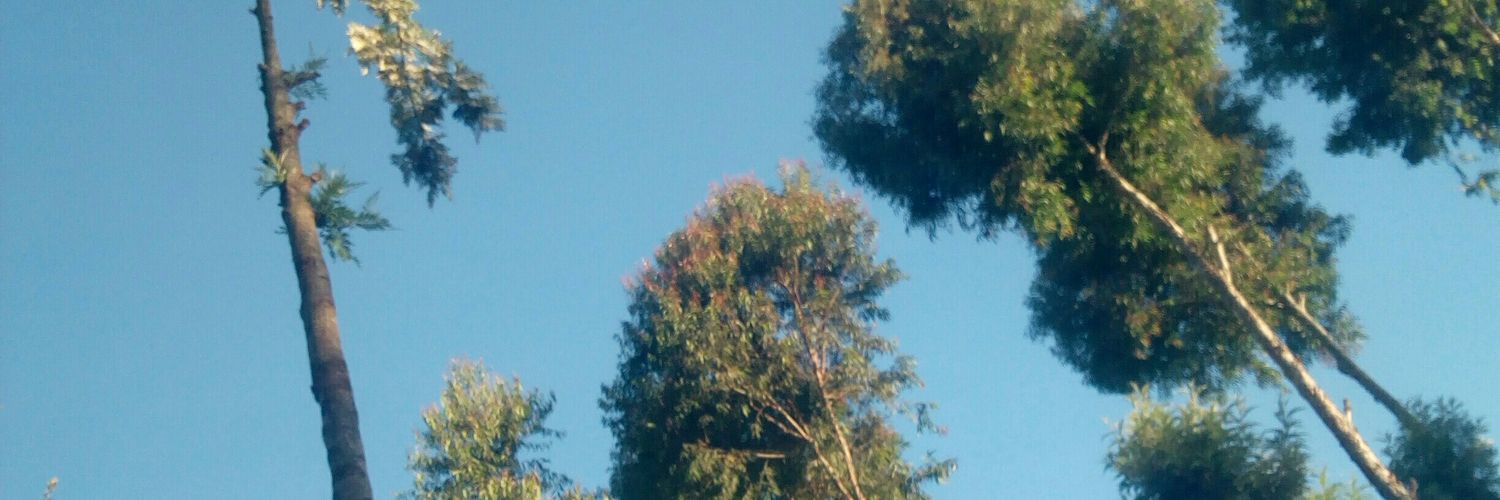 MsAnnMwai's profile banner image
