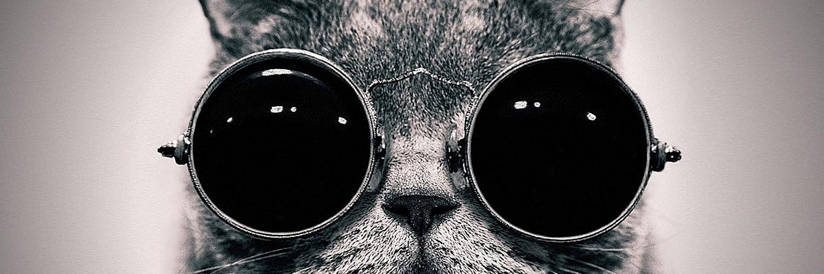 IonescuYanis's profile banner image