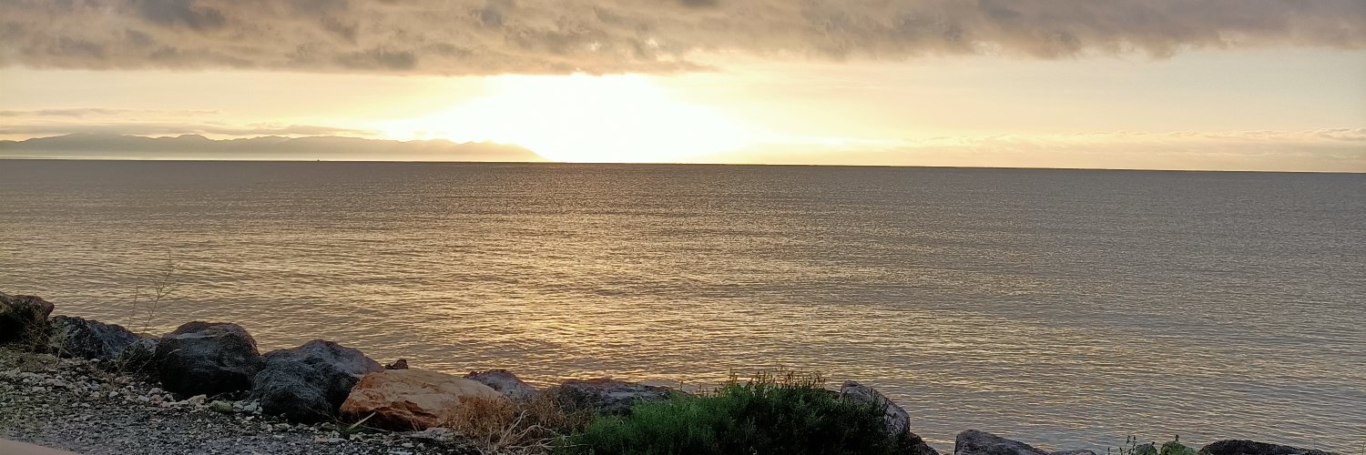 mariali98's profile banner image