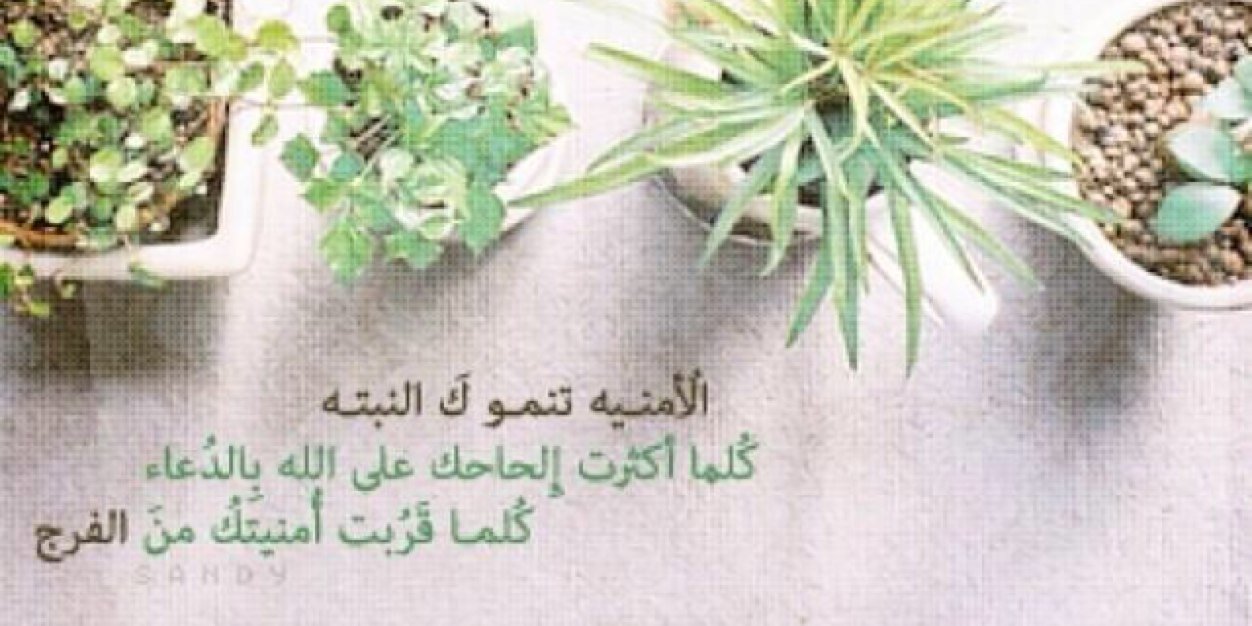 fahd123711's profile banner image
