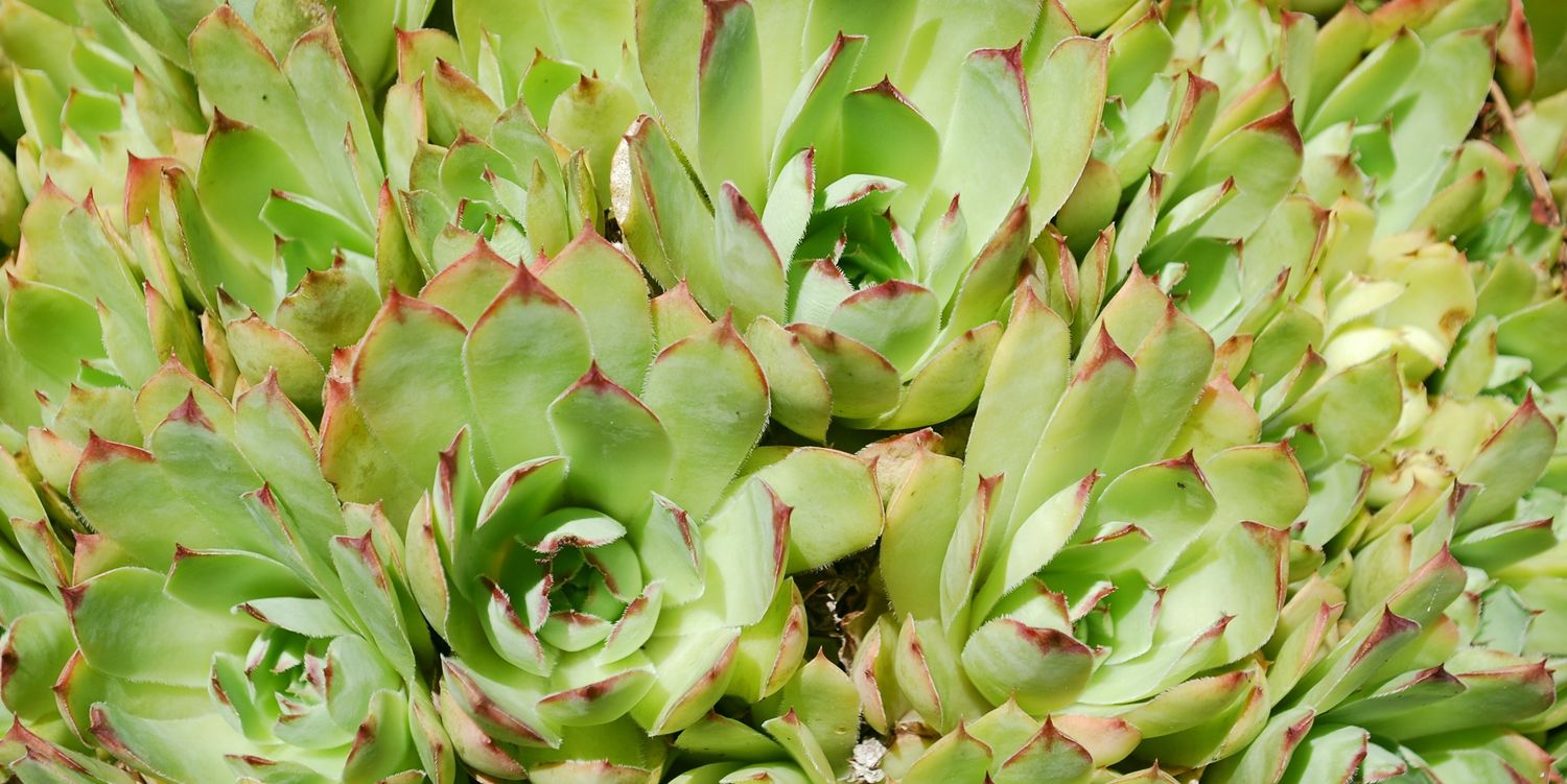 EducatopiaEA's profile banner image