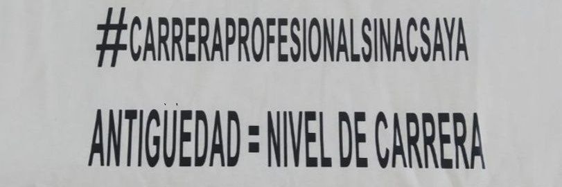 Boqueronius banner