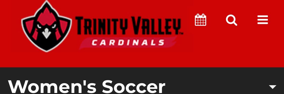 Jimmy Elder banner