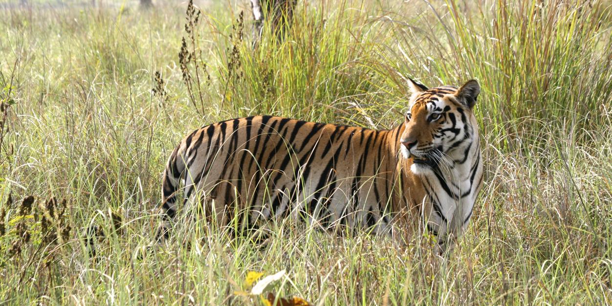 ecotours's profile banner image