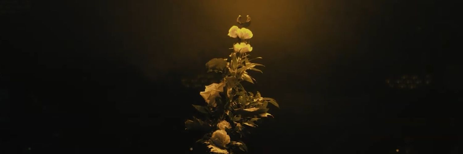 AfreecaSpirit's profile banner image