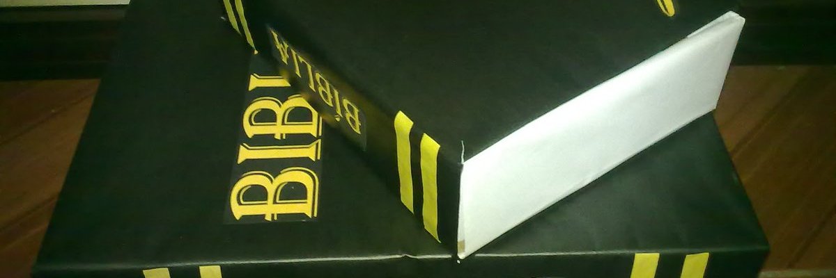 estrela_so's profile banner image