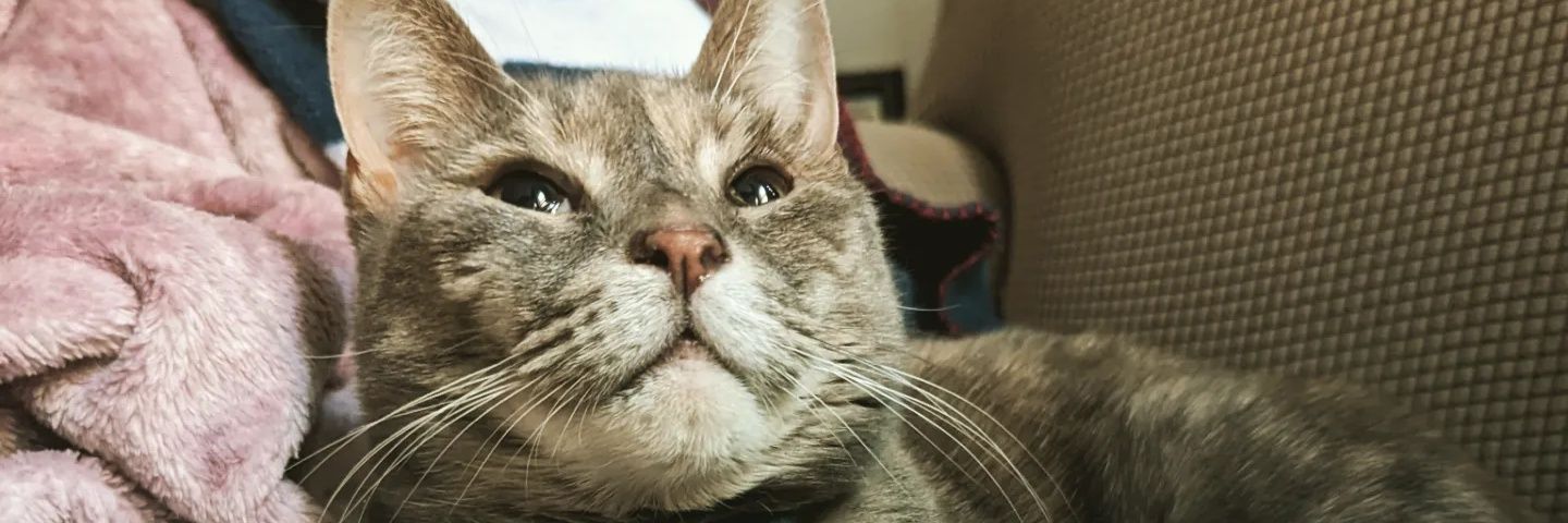 JonnyGreenJames's profile banner image