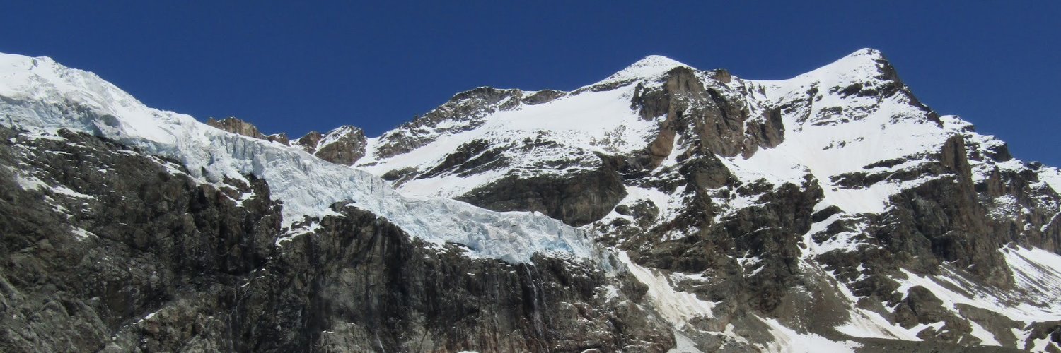 David Ambrosin banner