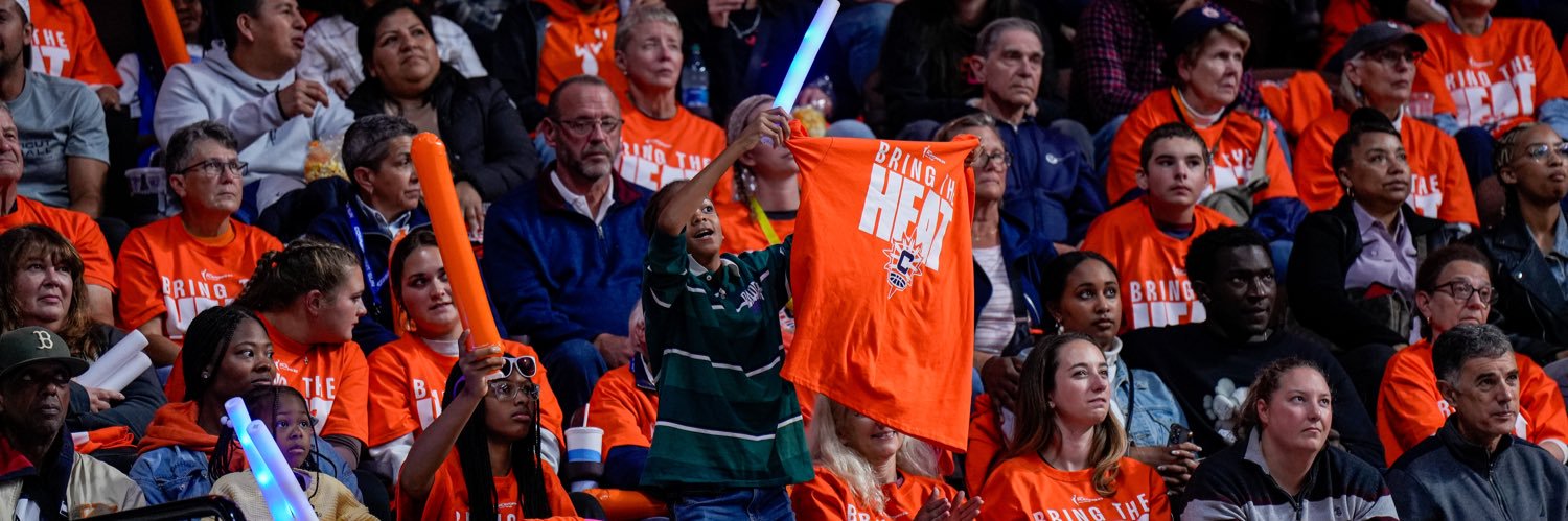 Connecticut Sun's banner