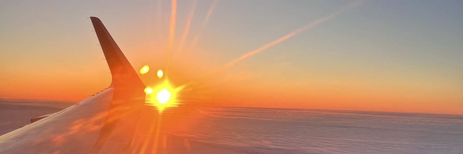 David Webster banner