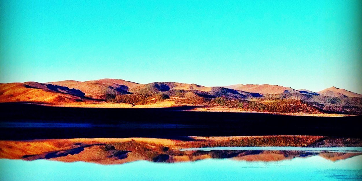Joshua Tree Products banner