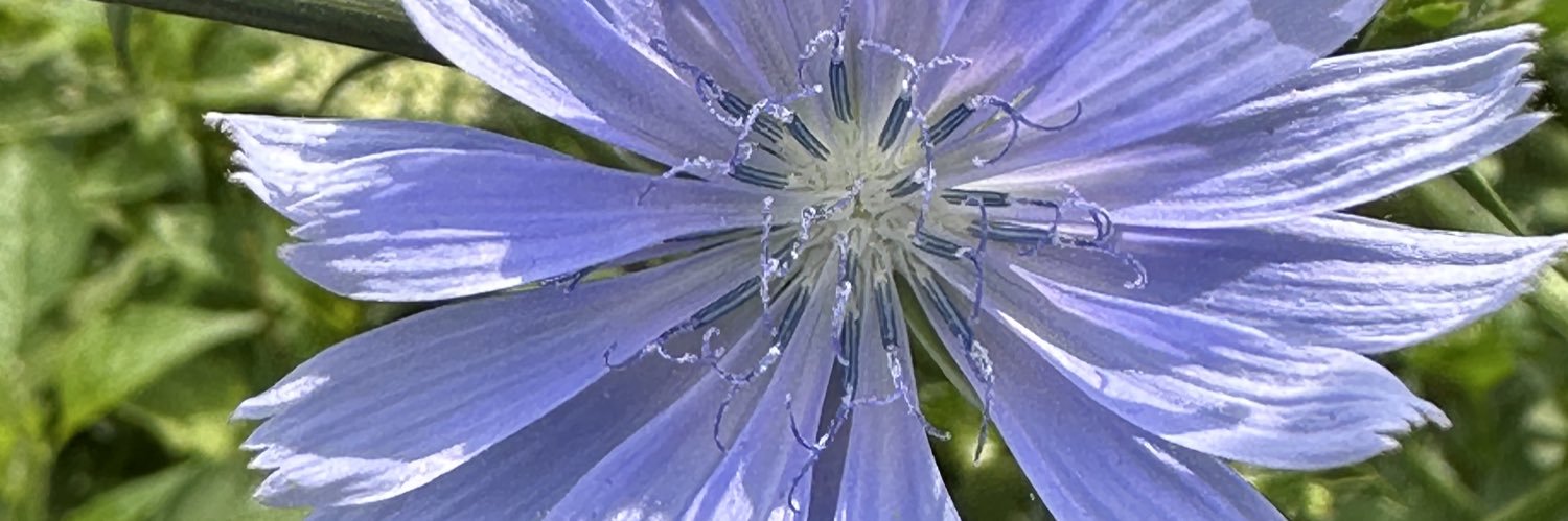 cindyloums's profile banner image