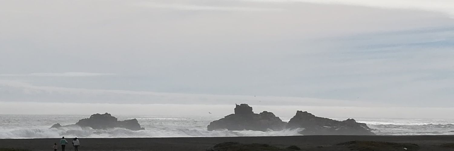 Patricia Bustos banner