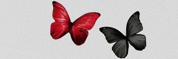 mebelladon's profile banner image