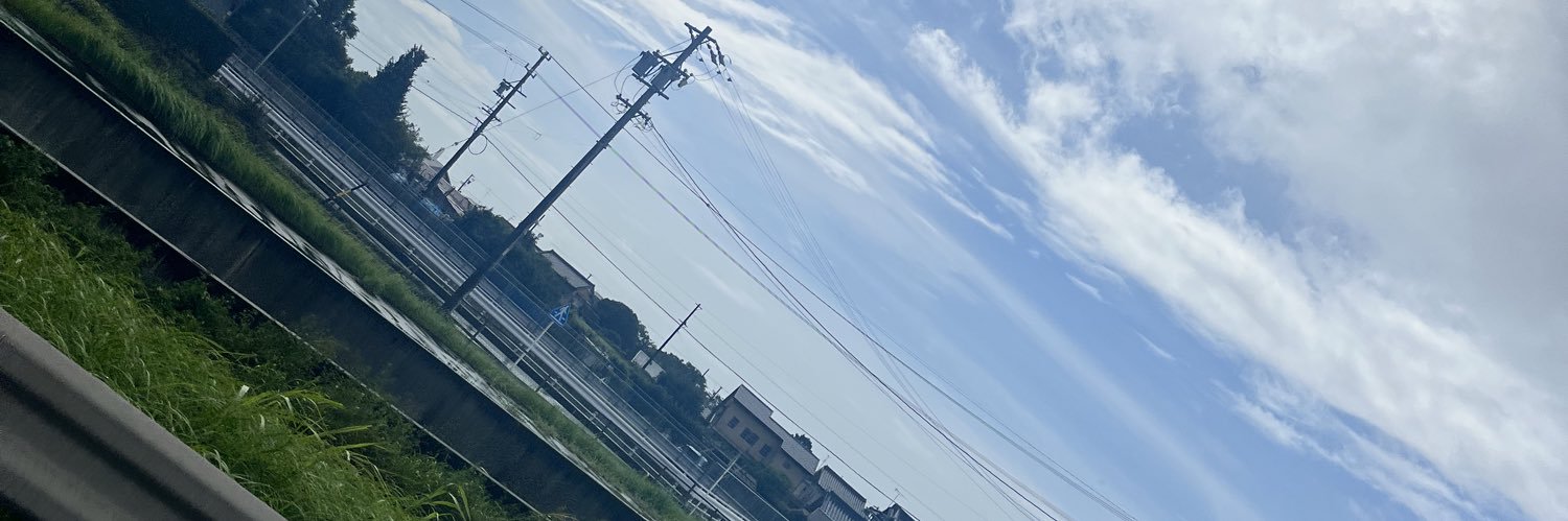 _LeliyS_'s profile banner image