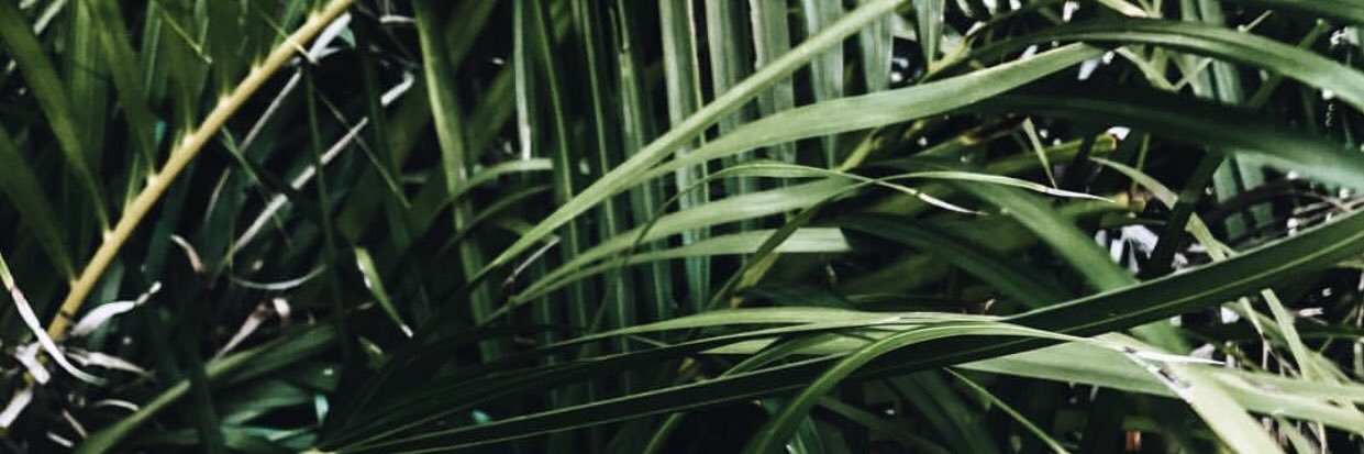 MissAudreyBee's profile banner image