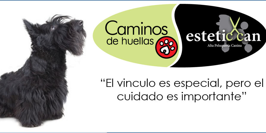 esteticcan's profile banner image