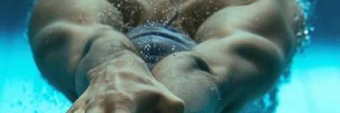 Ligue Sud Natation banner