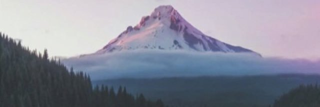 inspectaBex's profile banner image