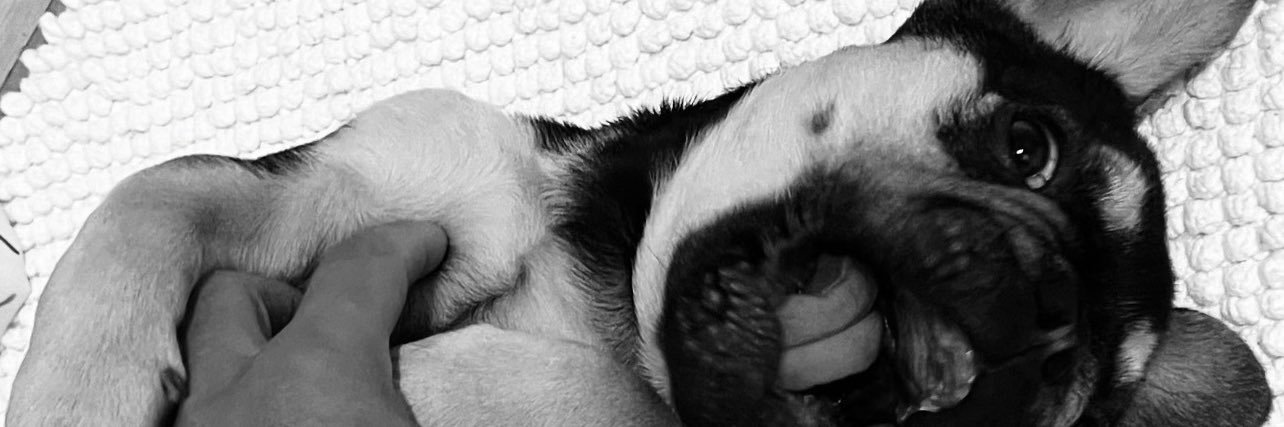 Getdineroo's profile banner image