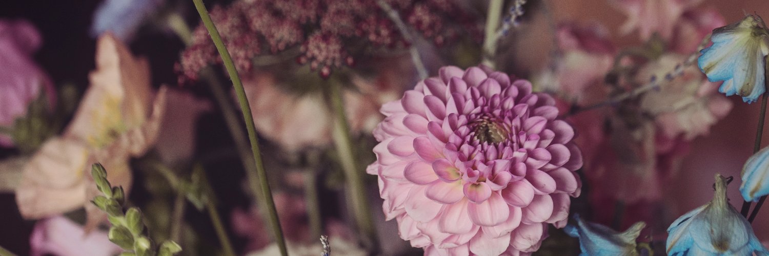 CarolineSnape's profile banner image