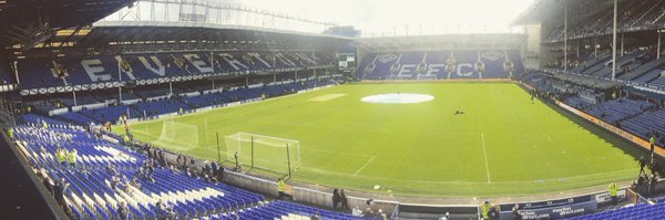 Shel_efc Profile Banner