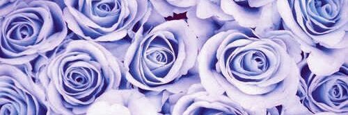 dsrg94's profile banner image