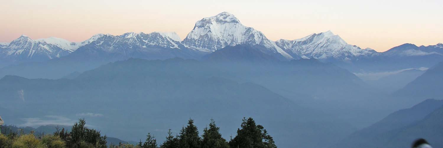 bhas_adhikari's profile banner image
