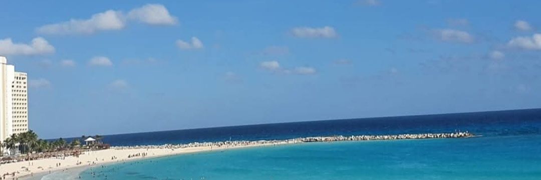 Alma_Garcias8's profile banner image