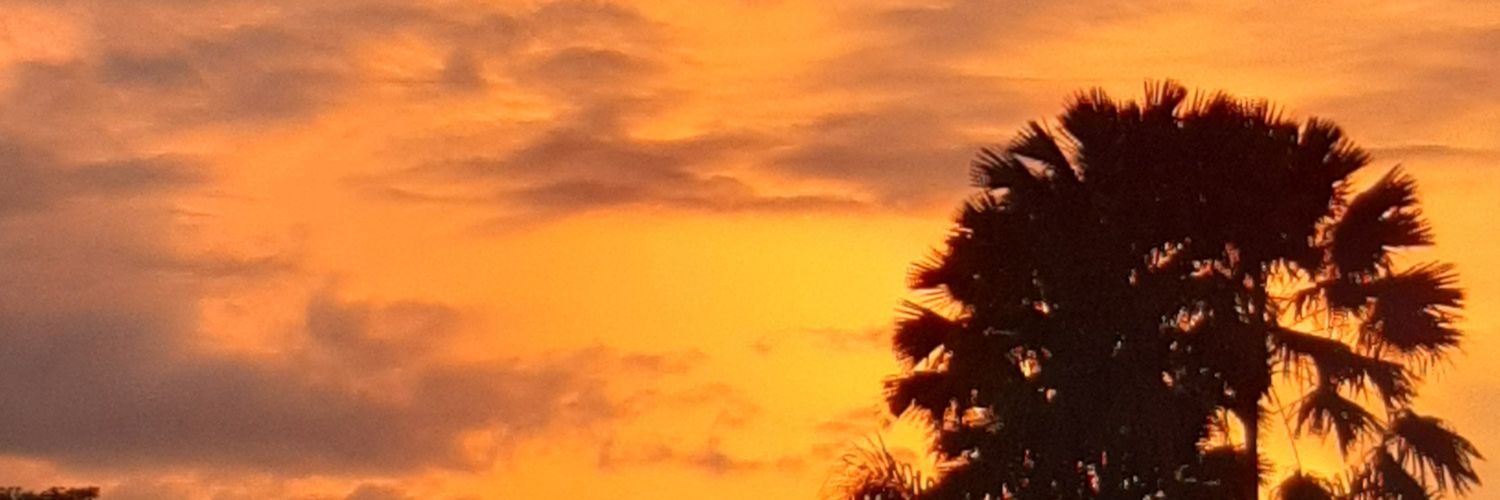 strmndrn's profile banner image