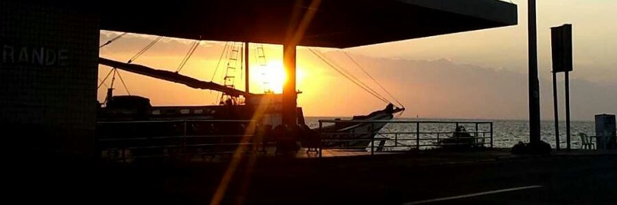 LedaMichely's profile banner image