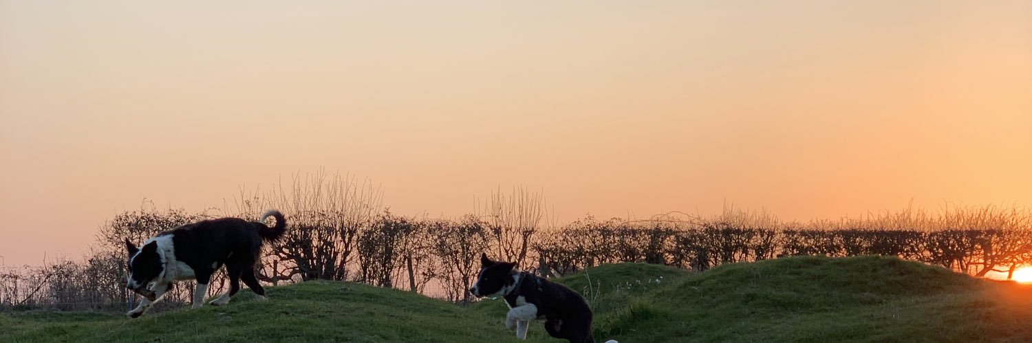 SandfordAmber's profile banner image